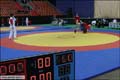 САМБО / sambo_20060228_583