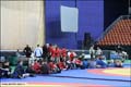 САМБО / sambo_20060228_771