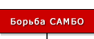 Борьба САМБО