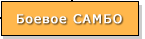Боевое САМБО